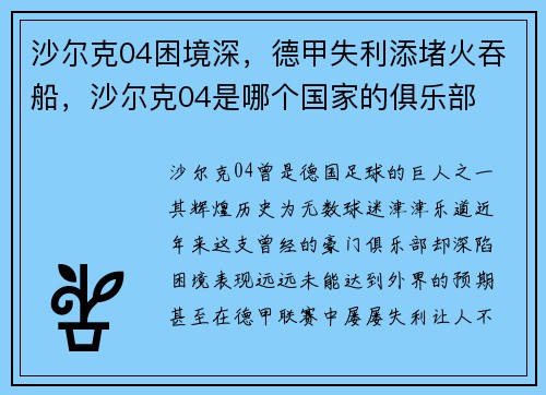 沙尔克04困境深，德甲失利添堵火吞船，沙尔克04是哪个国家的俱乐部