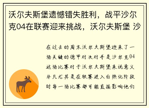 沃尔夫斯堡遗憾错失胜利，战平沙尔克04在联赛迎来挑战，沃尔夫斯堡 沙尔克04