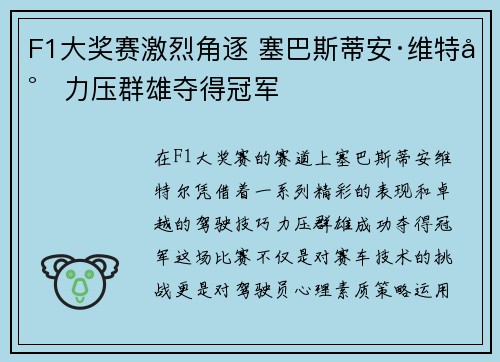 F1大奖赛激烈角逐 塞巴斯蒂安·维特尔力压群雄夺得冠军