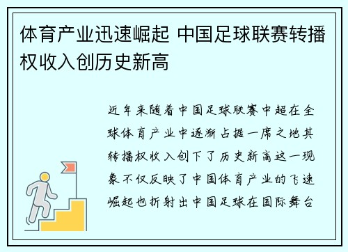 体育产业迅速崛起 中国足球联赛转播权收入创历史新高
